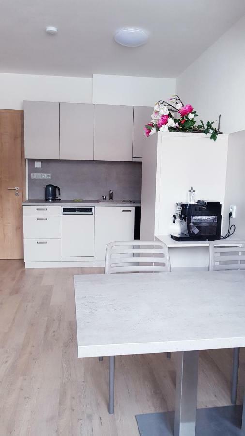 Apartmany Dolní Morava Dış mekan fotoğraf